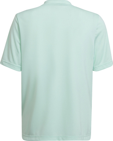 Koszulka dla dzieci adidas Entrada 22 Graphic Jersey miętowo-szara HF0127