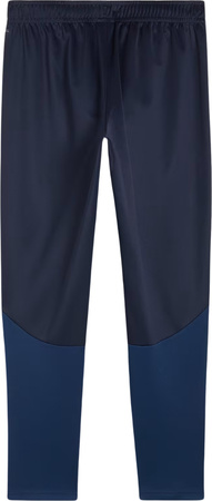 Spodnie męskie Puma Team Goal Training granatowe 658639 06