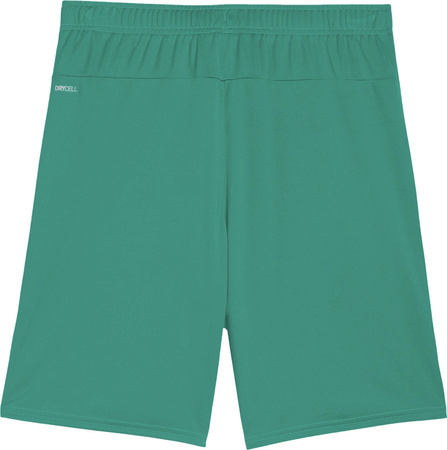 Spodenki męskie Puma Team Goal zielone 705752 05