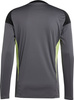 Koszulka bramkarska męska adidas Tiro 25 Competition Long Sleeve Jersey LM szara JN2017