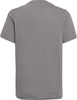 Koszulka dla dzieci adidas Entrada 22 Tee szara HC0444