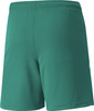 Spodenki dla dzieci Puma teamLIGA Shorts Jr zielone 704931 05