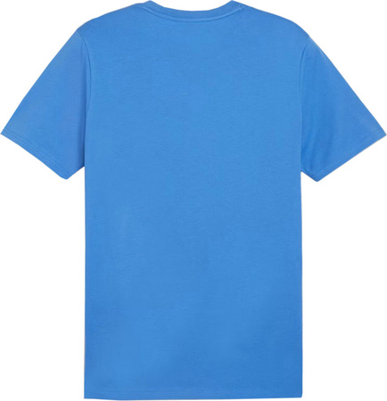 Koszulka męska Puma Team Goal Casuals Tee niebieska 658615 02