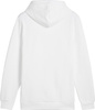 Bluza męska Puma Ess  Logo LAB Gradient Hoodie FL biała 681775 02