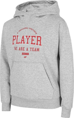 Bluza dla chłopca 4F szara HJZ22 JBLM006 27M