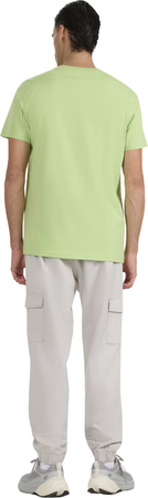 Spodnie męskie 4F CAS M1210 szare 4FWAW25TTROM1210 27S