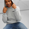 Bluza męska Puma ESS  2 Col Small Logo Hoodie FL szara 674471 04