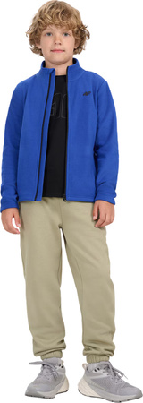 Polar dla chłopca 4F M413 kobaltowy 4FJWAW25TFLEM413 36S