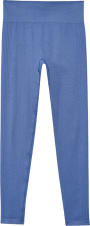 Legginsy damskie 4F F278 fioletowe 4FWAW24TFTIF278 31S