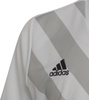 Koszulka dla dzieci adidas Entrada 22 Graphic Jersey biało-szara HF0120