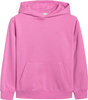 Bluza dla dziewczynki 4F F1953 różowa 4FJWAW25TSWSF1953 54S