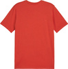 Koszulka męska Puma Team Goal Casuals Tee czerwona 658615 01