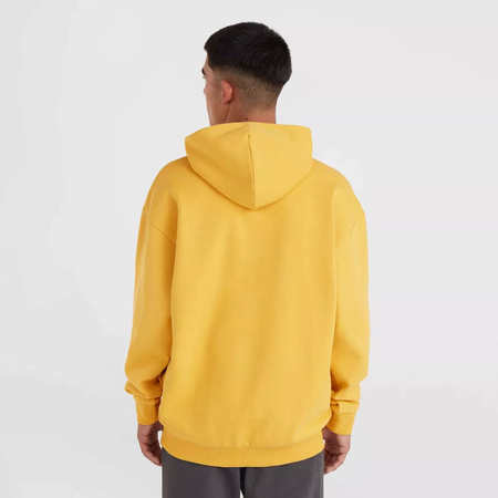 Męska bluza O'neill FUTURE SURF SOCIETY HOODIE golden haze rozmiar L