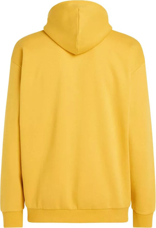 Męska bluza O'neill FUTURE SURF SOCIETY HOODIE golden haze rozmiar M