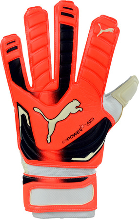 Rękawice bramkarskie Puma Evo Power Grip 2 Aqua 041145 30