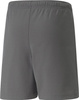 Spodenki dla dzieci Puma teamRISE Short Jr szare 704943 13