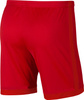 Spodenki męskie Nike Dri-FIT Academy czerwone AJ9994 657