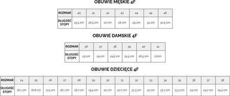Klapki męskie 4F M011 szare 4FRMM00FSLIM011 25S