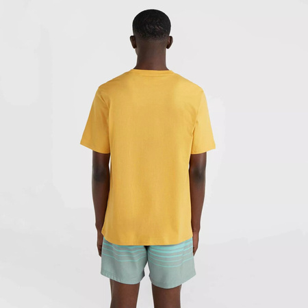 Męska koszulka z krótkim rękawem %producername% MIX