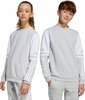 Bluza dla dzieci adidas Squadra 25 Sweat Crew szara JD4824