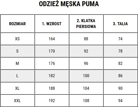 Koszulka męska Puma teamGoal Matchday Jersey biało-czerwona 705747 11