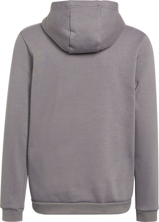 Bluza dla dzieci adidas Entrada 22 Hoody szara H57515