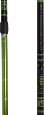 Kije kijki Nordic Walking Scout Bjorn zielone 3cz