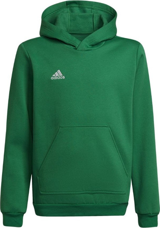 Bluza dla dzieci adidas Entrada 22 Hoody zielona HI2143