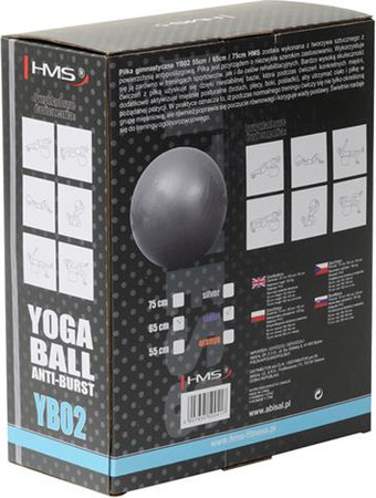 Piłka gimnastyczna fitness HMS yb02n 65cm anti-burst fioletowa