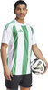 Koszulka męska adidas Striped 24 Jersey biało-zielona IW2148
