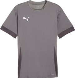 Koszulka męska Puma teamGoal Matchday Jersey szara 705747 13