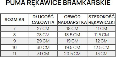 Rękawice bramkarskie Puma Evo Power Grip 2 Aqua 041145 30
