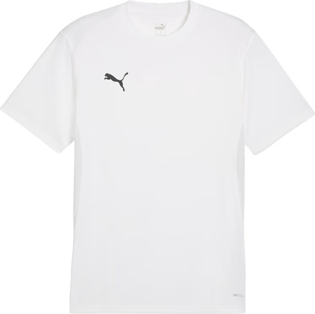 Koszulka męska Puma TeamGoal Jersey biała 658636 04