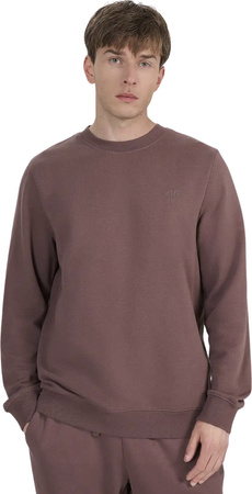 Bluza męska 4F M1981 brązowa 4FWAW25TSWSM1981 81S