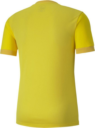 Koszulka męska Puma teamGOAL 23 Jersey żółta 704171 07