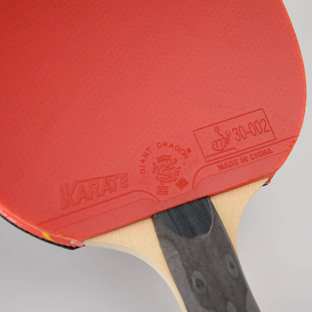 Rakietka do tenisa stołowego ping-ponga Giant Dragon 5***** N8051 pokrowiec