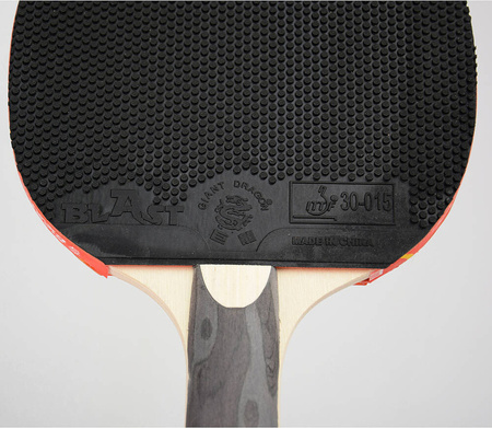 Rakietka do tenisa stołowego ping-ponga Giant Dragon 5***** N8052 pokrowiec