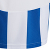 Koszulka dla dzieci adidas Striped 24 biało-niebieska IW2134