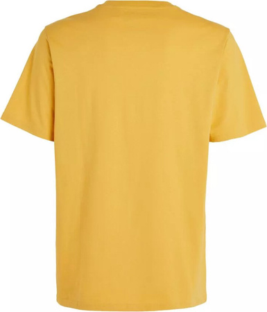 Męska koszulka z krótkim rękawem O'neill FUTURE SURF SOCIETY T-SHIRT golden haze rozmiar L