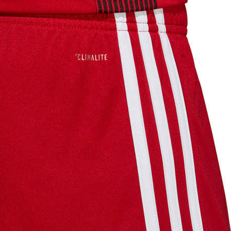 Spodenki treningowe krótkie męskie adidas Tastigo 19 Shorts czerwone DP3681