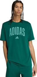 Koszulka męska adidas Collegiate Lineage Graphic zielona KA7135