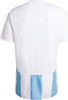 Koszulka męska adidas Striped 24 Jersey biało-błękitna IW4555