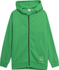 Bluza męska 4F zielona 4FSS23TSWSM236 41S