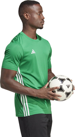 Koszulka męska adidas Tabela 23 Jersey zielona IA9147