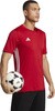 Koszulka męska adidas Tabela 23 Jersey czerwona HT6552