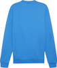 Bluza męska Puma Team Goal Casuals Crew Neck Sweat niebieska 658592 02