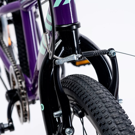 Dziecięcy rower Martes essentials Ninja 20 rozmiar koła 20"