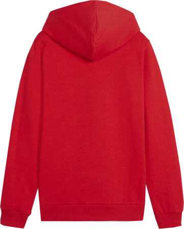 Bluza dla dzieci Puma Team Goal Casuals Hoddy czerwona 658619 01