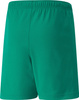 Spodenki dla dzieci Puma teamRISE Short Jr zielone 704943 05