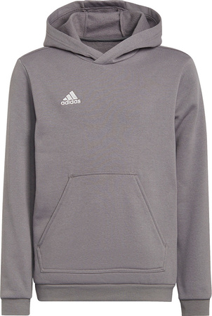 Bluza dla dzieci adidas Entrada 22 Hoody szara H57515
